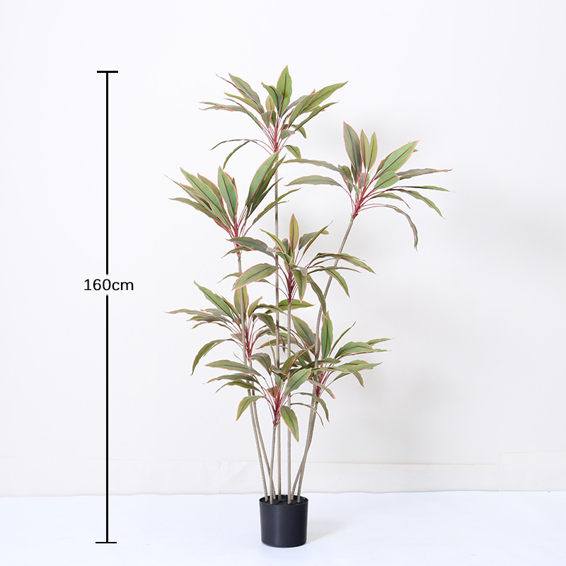Rouge 160cm