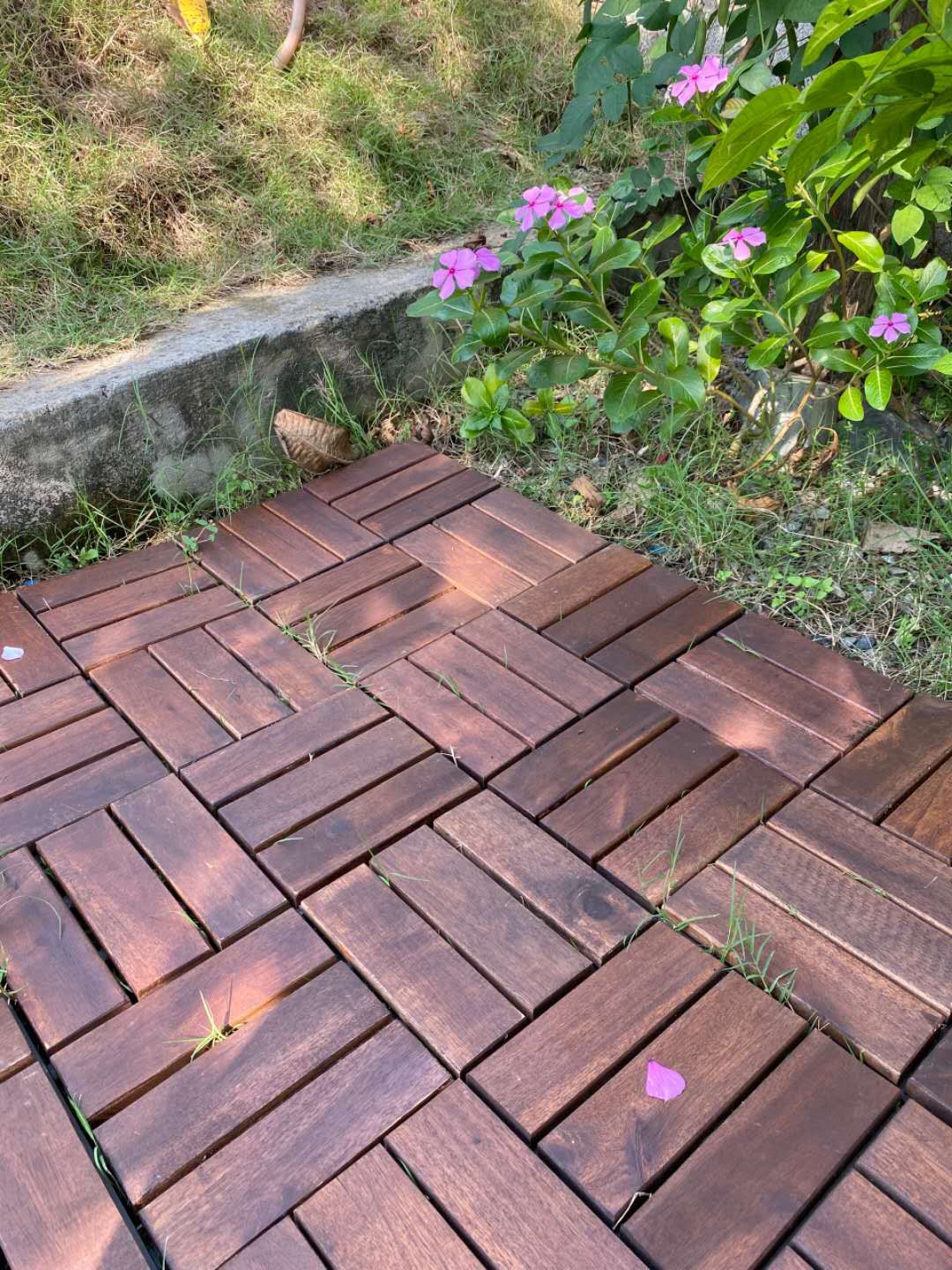 ช็อกโกแลต