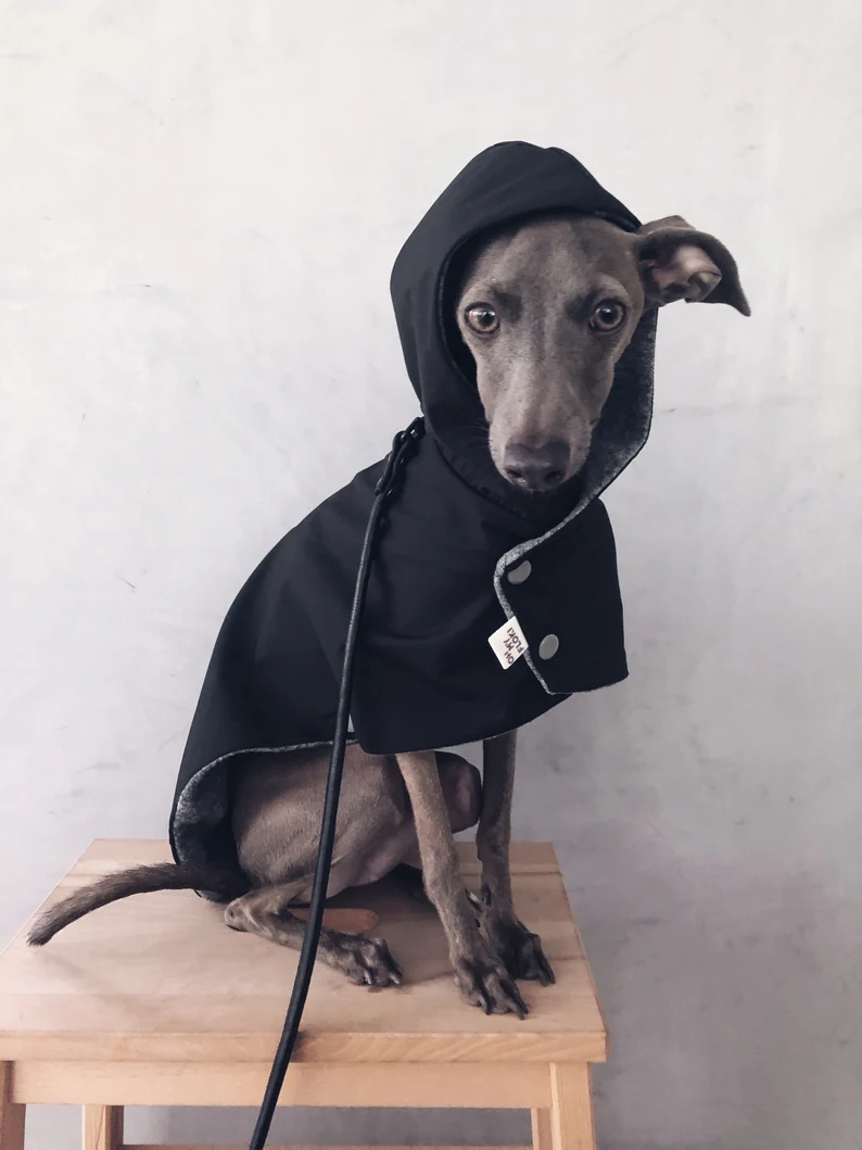 Noir