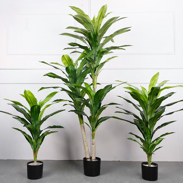 สไตล์เอ