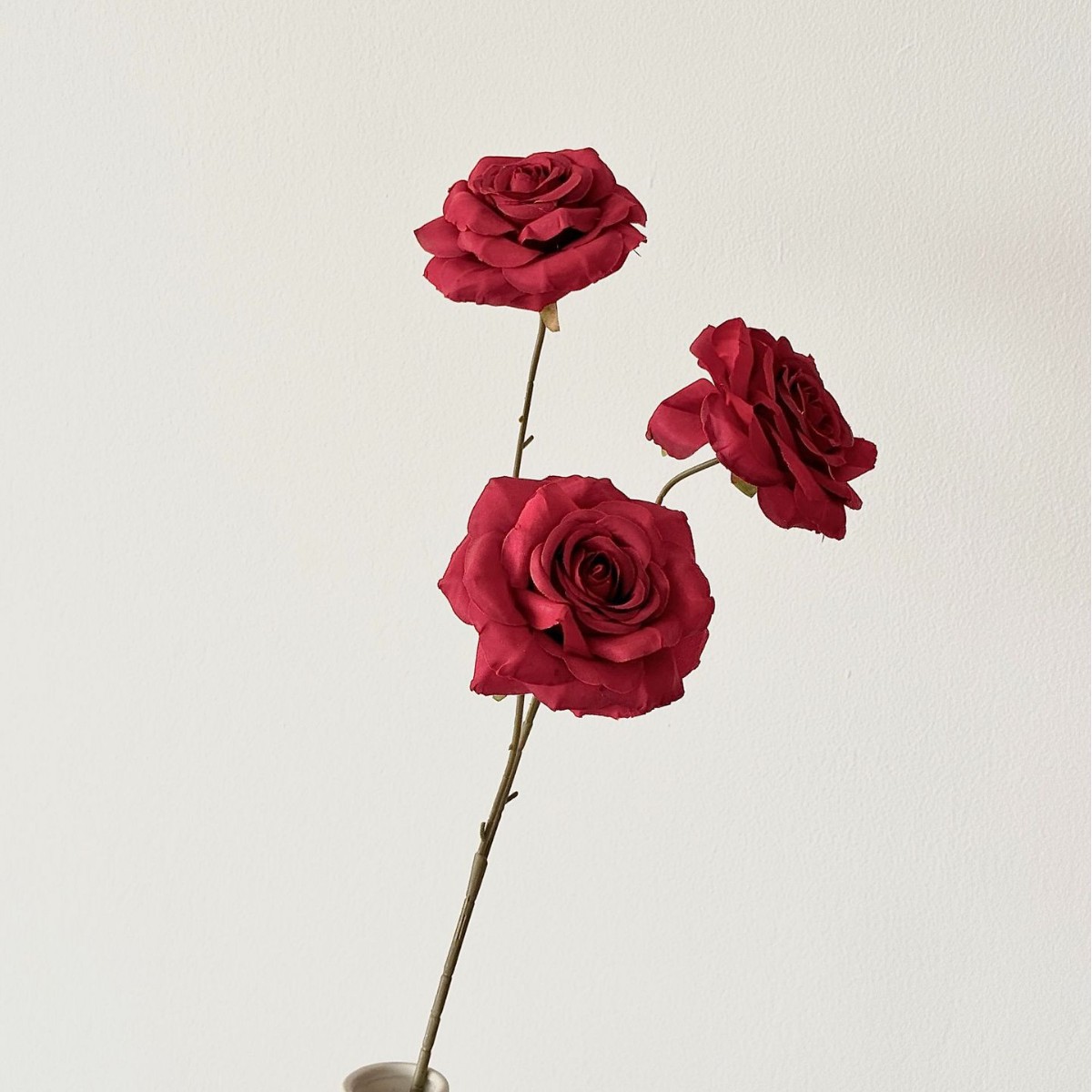 Red diamond rose
