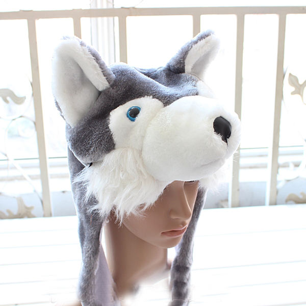 Grey husky