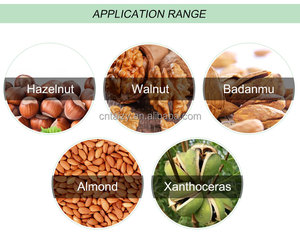 Sgusciatrice per gusci di mandorle e noci di alta qualità e separatore di noccioli - Product Image 3