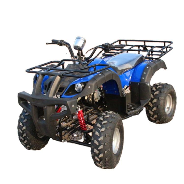 four wheeled mountain buggy