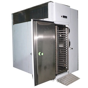 Beef <strong>Blast</strong> Freezer Machine -40 Degree <strong>C</strong> 40 Hp <strong>Blast</strong> Freezer Units - Product Image 1