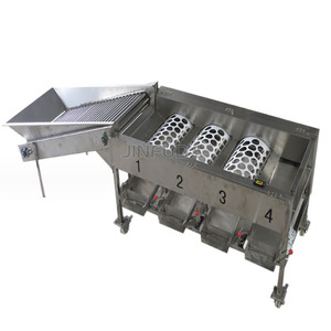 Clasificación automática de frutas y cerezas, clasificación automática de frutas y verduras, Oliva, manzana, naranja, cebolla, tomate, aguacate, máquina clasificadora de patatas - Product Image 2