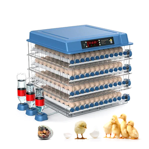 Sıcak satış tavuk yumurta kuluçka makinesi yumurta kuluçka makinesi otomatik couveuse oeuf automatique yumurta kuluçka otomatik çiftlik için - Product Image 2