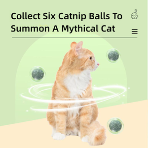 <strong>Catnip</strong> <strong>Cat</strong> <strong>Toy</strong> New Fun <strong>Cat</strong> <strong>Catnip</strong> Ball Edible Candy Lotus <strong>Cat</strong> Interactive <strong>Toy</strong> - Product Image 3