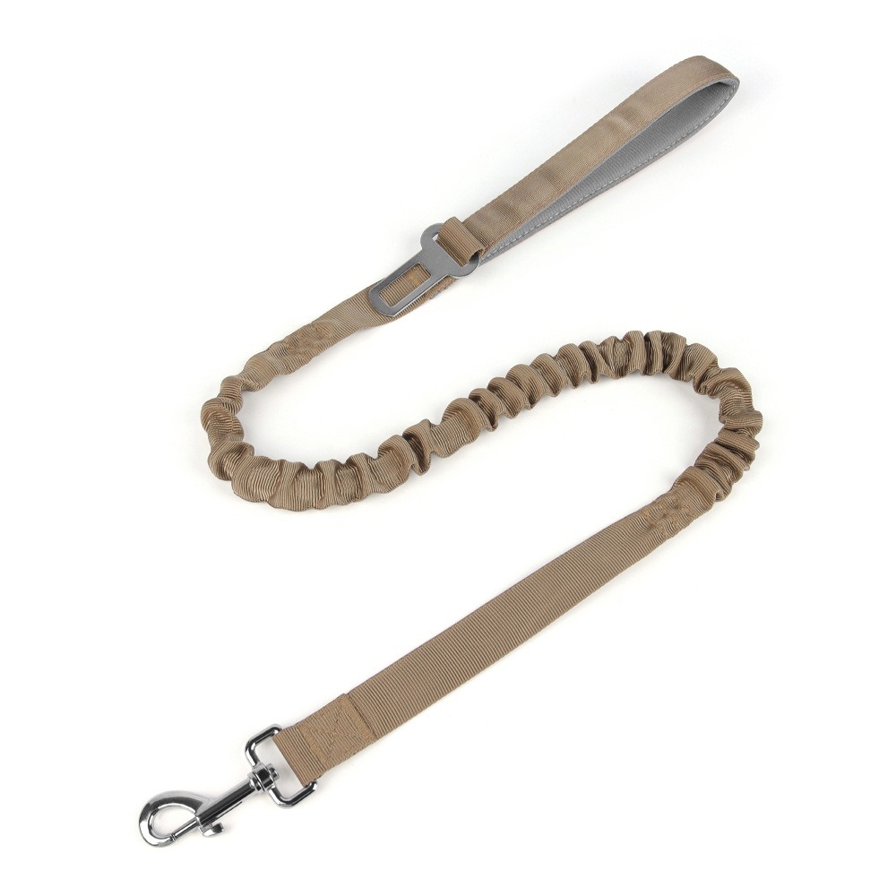 leash2