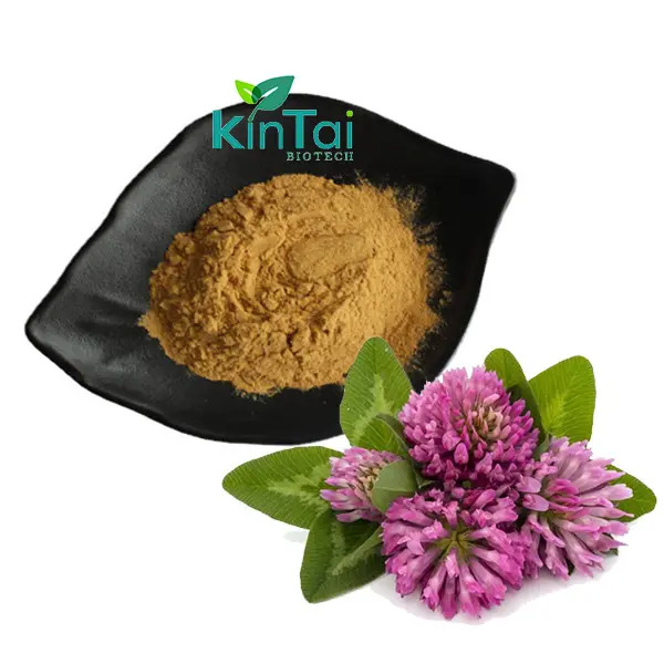 Trifolium Pratense สารสกัดจากโคลเวอร์แดงผงไอโซฟลาโฟน 8% 20% 30% 40%