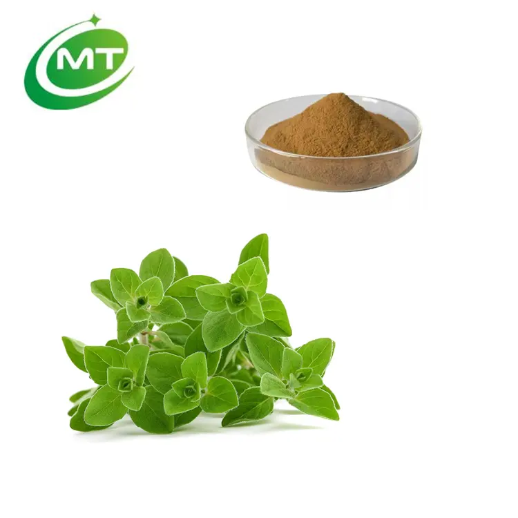 Free Sample Organic 10:1 Oregano Leaf Extract Powder Oregano Extract Origanum vulgare Powder