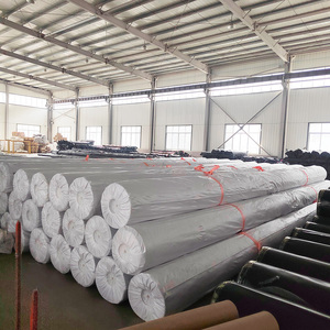 High Density Polyethylene <strong>HDPE</strong> Geomembrane Price Dam Liner Geomembrane <strong>Hdpe</strong> 0.5mm 0.75mm 1.0mm <strong>1.2mm</strong> 1.5mm - Product Image 3
