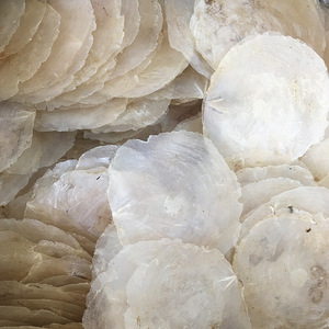 Natural Clean White Capiz <strong>Shell</strong> for DIY Handmade <strong>Shell</strong> Crafts - Product Image 5