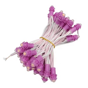 Factory Cheap Price 9mm 12mm Waterproof Outside Decorate <strong>LED</strong> <strong>String</strong> <strong>Light</strong> Single Color PC <strong>Pixel</strong> <strong>Led</strong> Module - Product Image 2