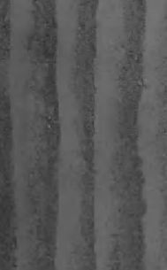 Grey scuro