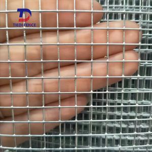 1/4 1/2X1 inç galvanizli donanım bez 2X2 2X4 demir elektro/sıcak daldırma galvanizli kaynaklı tel tel örgü rulosu çit için - Product Image 4
