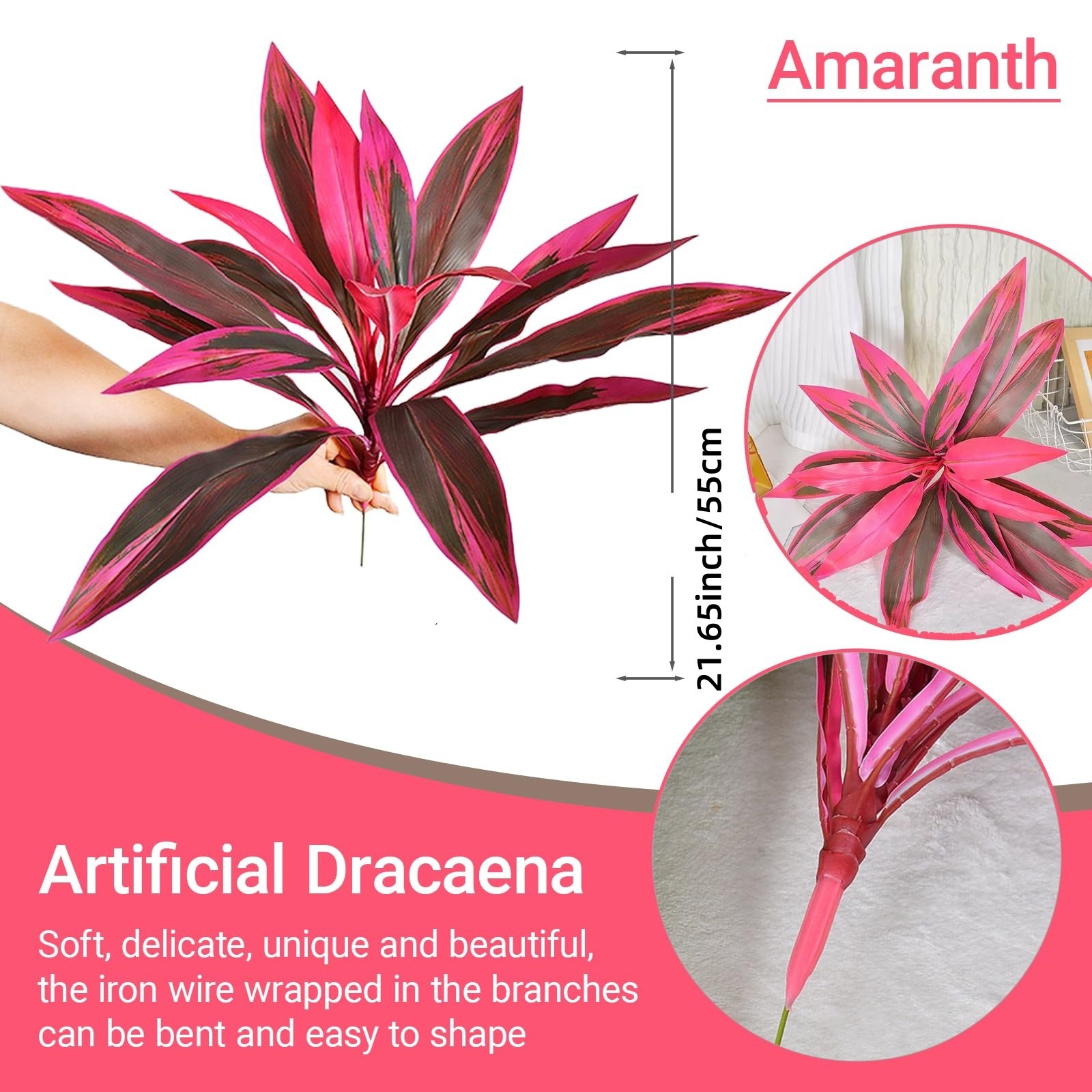 18 brazilian wood dragon blood trees