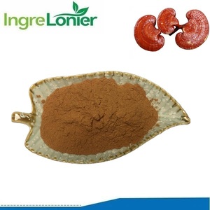 Fabrika kaynağı CTM Ling Zhi (hong) Ganoderma Iucidum Sporophore-toplu stokta dilimlenmiş özü tozu - Product Image 2