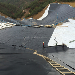 Mısır baraj projesi için Hdpe su geçirmez membran yüksek yoğunluklu polietilen levha astar 1.0mm 1.5mm Hdpe geomembran - Product Image 5