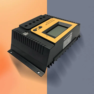 Regolatore di carica solare PWM 10A 20A 30A 40A 50A 60A 80A 12V 24V 36V 48V caricatore solare di rilevamento automatico