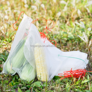 Bolsa de red de nailon de malla 40, barrera de red para mosquitos, insectos, pájaros, caza, Red de jardín ciega para proteger tu planta, frutas, flores - Product Image 3