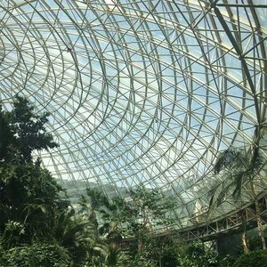 Edificio de estructura de acero con cúpula de Atrio, marco de espacio atornillado y techo de vidrio-Ideal para centros comerciales, piscinas e invernaderos - Product Image 6
