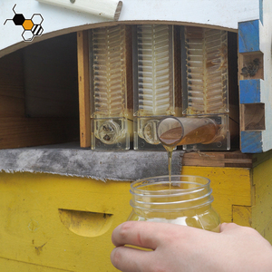 Tự Động Bằng Gỗ Dòng Chảy <span class=keywords><strong>Hive</strong></span> Nhà Nâng Cấp Tự Động Khung Lược-Tổ Ong Hộp Mật Ong Miễn Phí Thu hoạch - Product Image 3