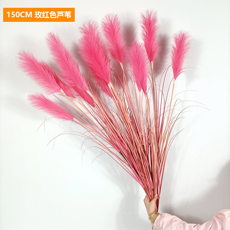 Rose-red reeds, 150cm