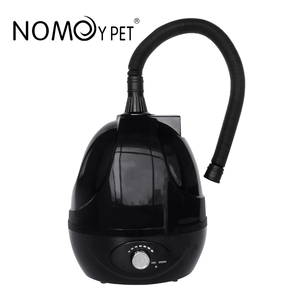 Noir