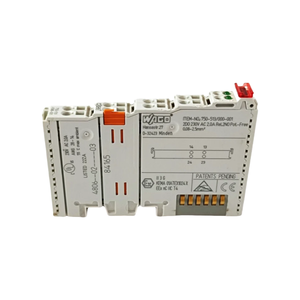 Nuovo modulo di uscita relè a 2 canali WAGO 513 750 originale per il controllo di dispositivi ad alta potenza nei sistemi di automazione industriale