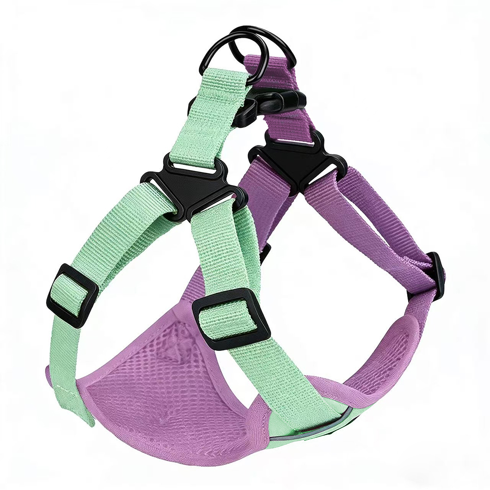 Mint Green & Royal Purple