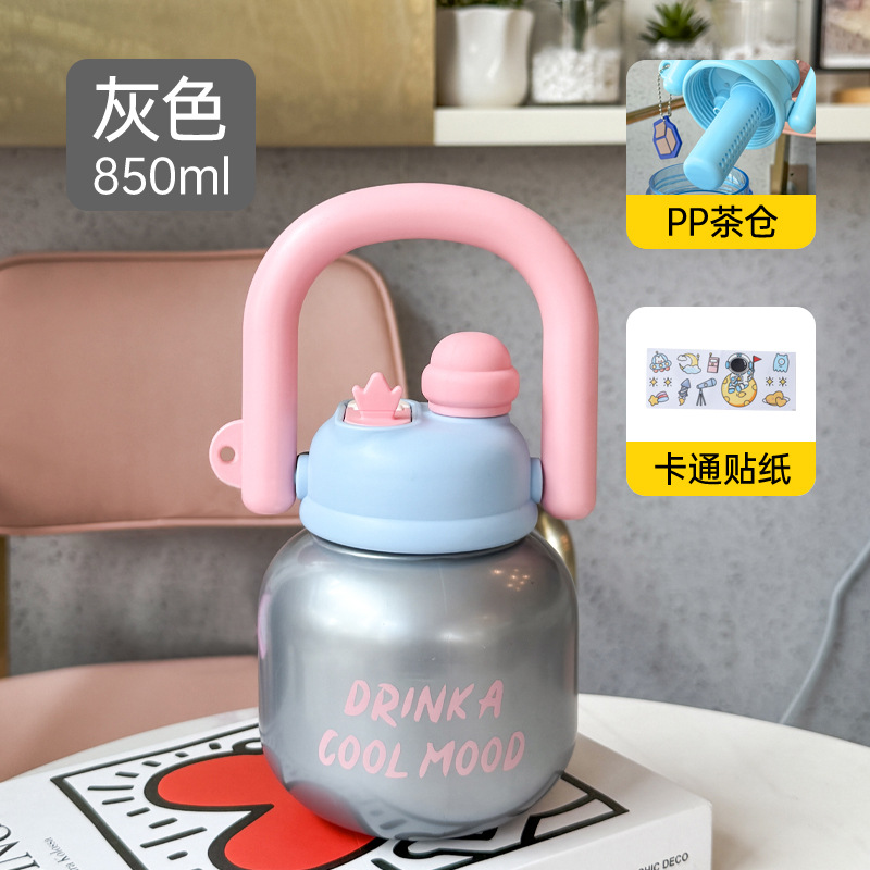 850ml Silver Water Bottle
