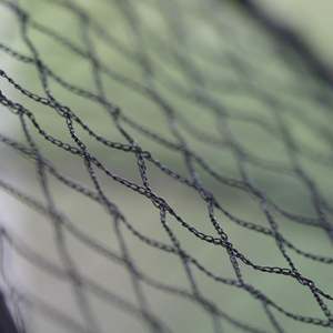 Mist <strong>Net</strong> Catching Bird Network Plastic Bird Capture <strong>Net</strong> <strong>Net</strong> to Catch Birds - Product Image 3