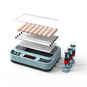 2023 Factory Direct New Design Mini Egg <strong>Incubator</strong> Digital Temperature Control Automatic 64 Eggs Chicken Eggs - Product Image 2