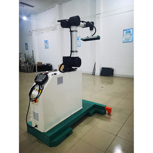Prezzo di promozione della produzione professionale Robot collaborativo palettatrice Cobot