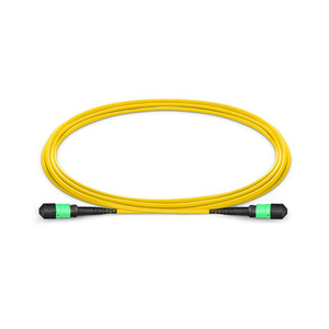 Factory Price MPO-24 Trunk Cable 40G/100G <strong>Network</strong> Pre-Terminated Low Loss