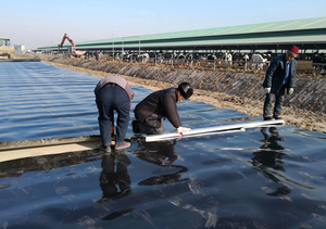 Gölet Liner ve depolama için en iyi fiyat HDPE / LDPE / PVC geomembran levha - Product Image 4