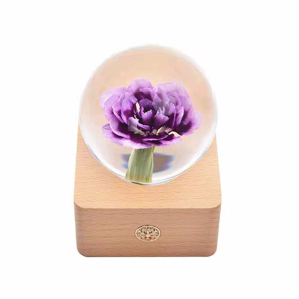 Clavel púrpura