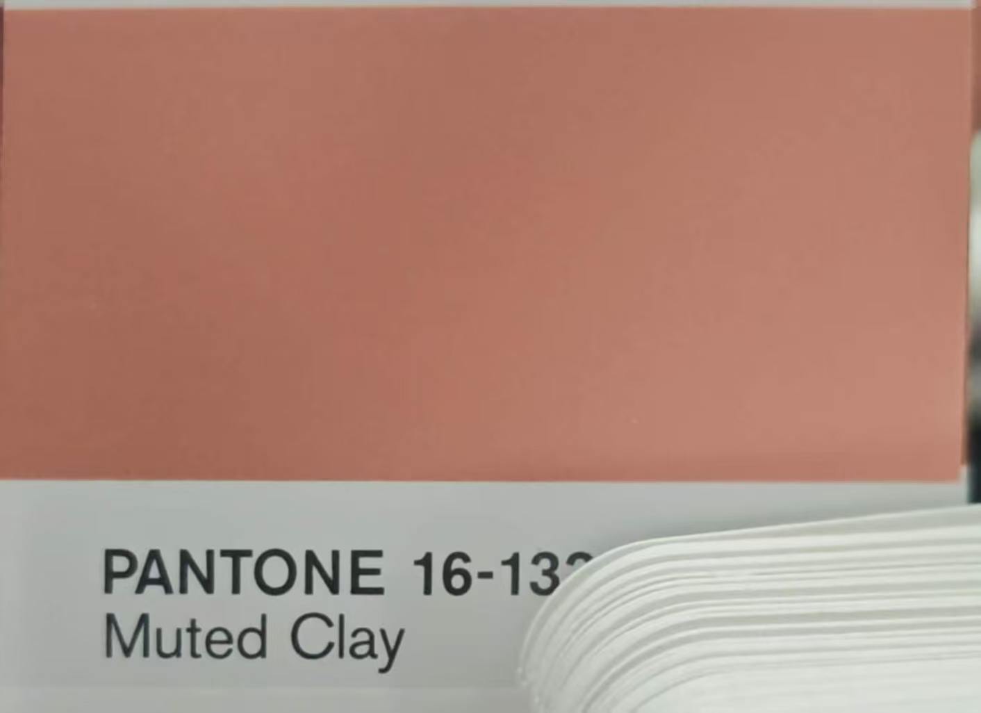 Muted Clay