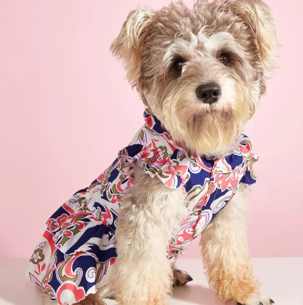 Pemasok Gaun Hewan Peliharaan Yiwu, Pakaian Rok Pantai Musim Panas Motif Kucing untuk Anjing