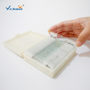 The <strong>Laboratory</strong> <strong>of</strong> Medical University Prepared <strong>Microscopic</strong> Human Pathological <strong>Slides</strong> <strong>of</strong> Respiratory System <strong>Type</strong> - Product Image 4