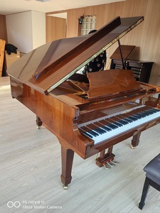 2025 Antique Deluxe Walnut Grand Piano Restored German Quality - Product Image 5