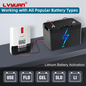 LVYUAN Outdoor 40A 12V/24V Auto Detect Preis Pwm Solar laderegler Mppt Solar laderegler für Solarenergie - Product Image 4