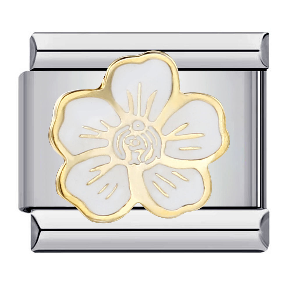 Silver 6