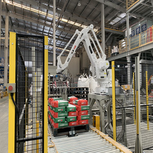 Automatic Palletizing <strong>Robot</strong> <strong>Pallet</strong> <strong>Robot</strong> Systems for Automatic Filling Packing Machine - Product Image 2