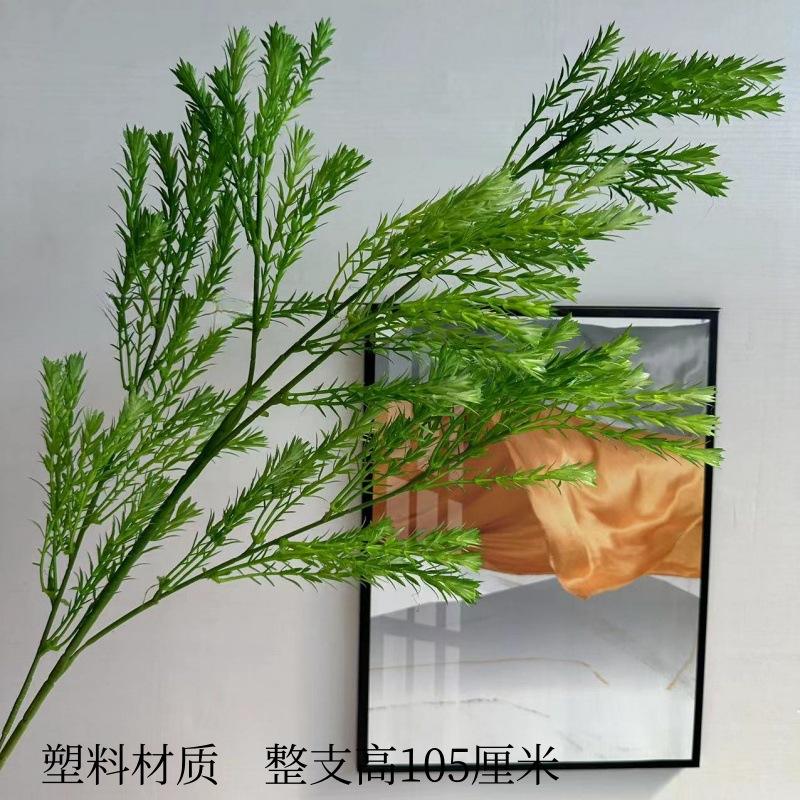 #4 Melaleuca สีเขียวทอง