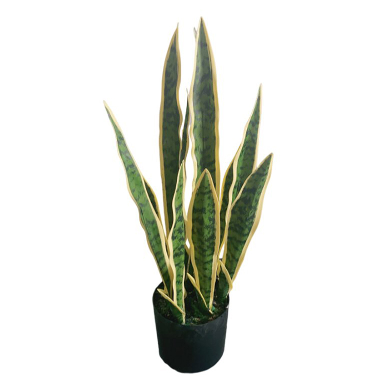 Vert