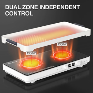110v/220v大功率台式电陶瓷炉双电磁炉多头烧烤肉盘制造最好