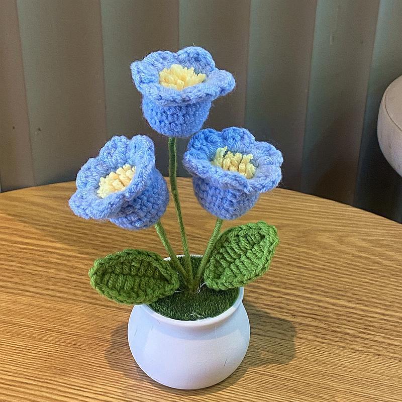 3 blue lily of the valley potted plants