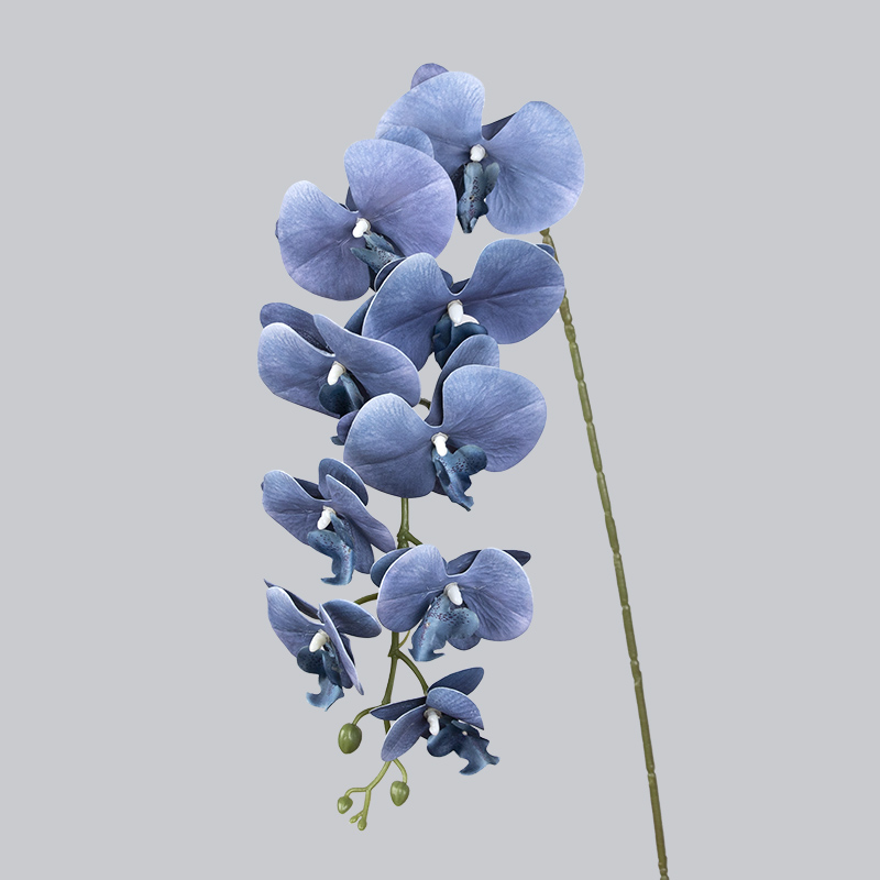 PU 9 Bleu orchidée brume